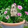 B&M Carved Wood Effect Garden Plant Pot Stick - Hedgehog